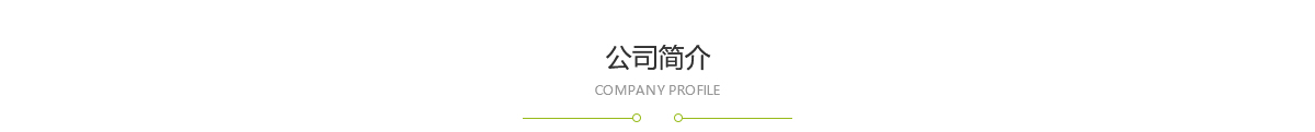 集团概况 集团概况