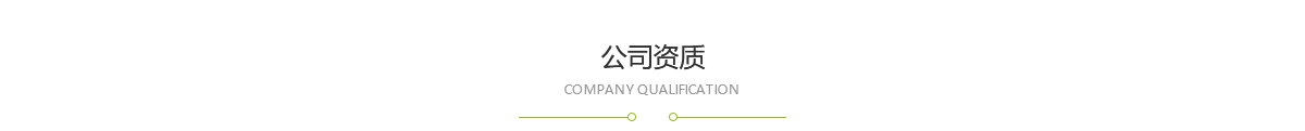 公司实力