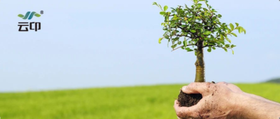 轮廓科技│为实现碳达峰碳中和贡献力量